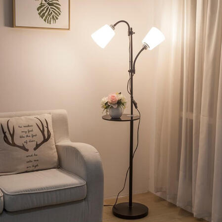 Nordic Dual-Head Gooseneck Floor Lamp with Table - Sage Design Group - Annette C. Sage, CEO